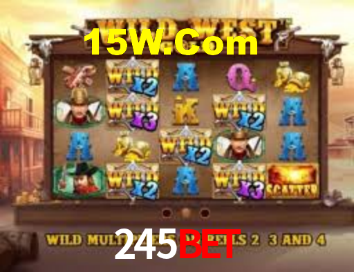 245bet App Interface